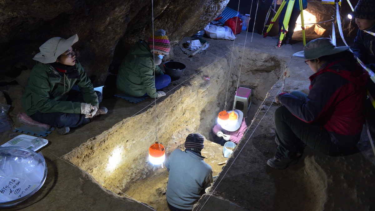 Study puts denisovans on roof of the world