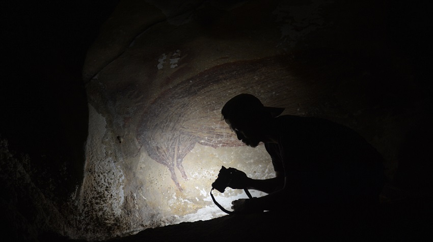 Oldest cave painting of animals found in indonesia