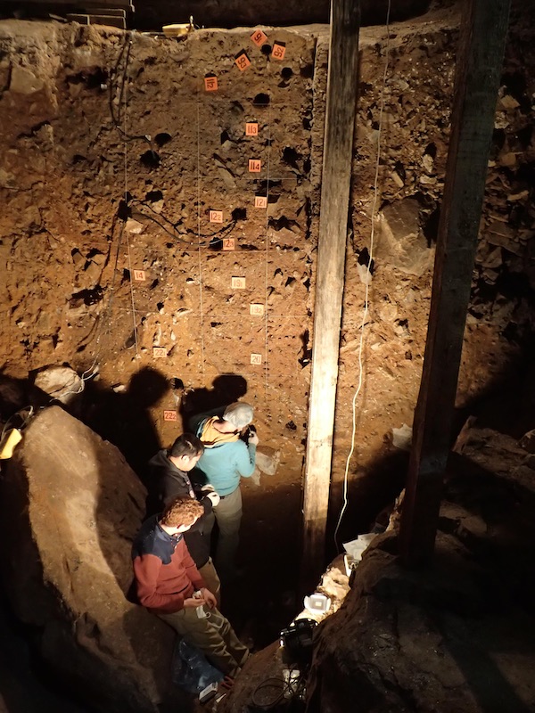 Collecting samples in denisova cave