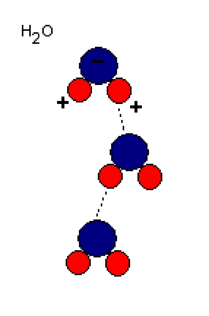 水分子间相互作用图