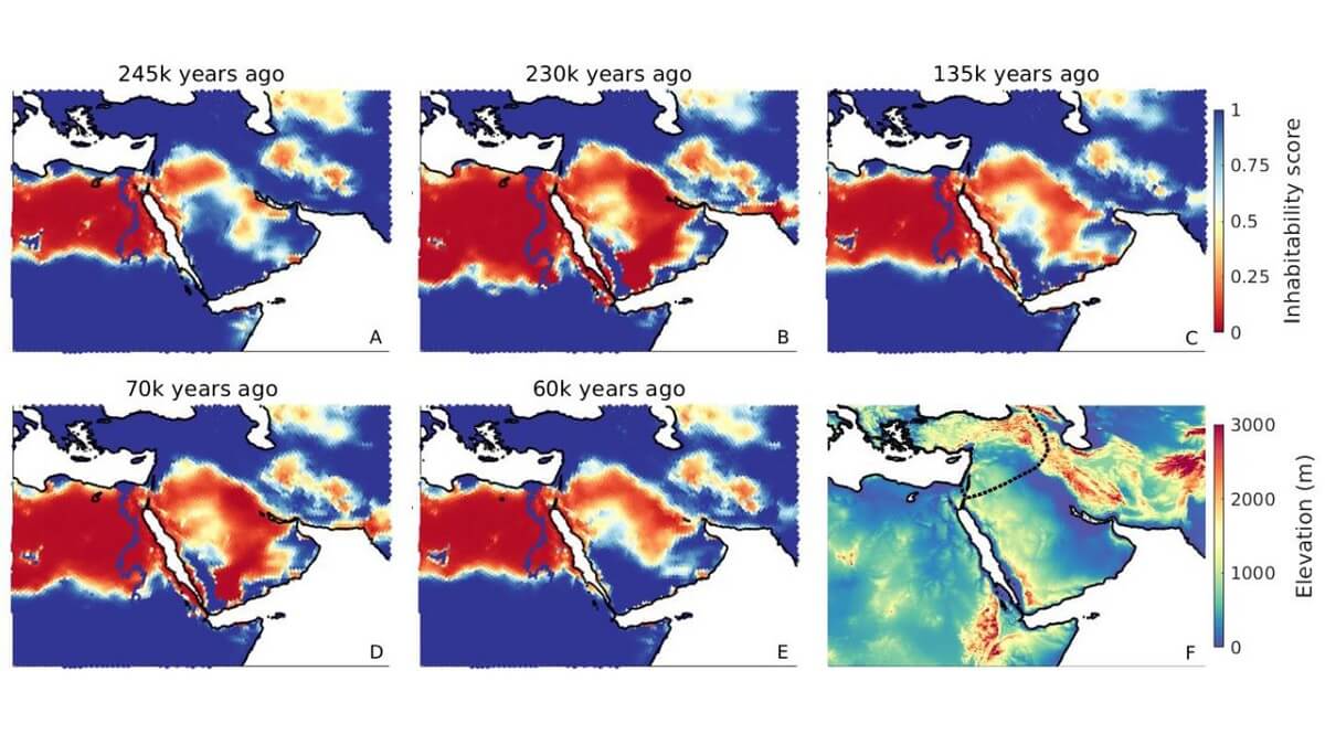 ‘climate windows’ allowed the first human migrations
